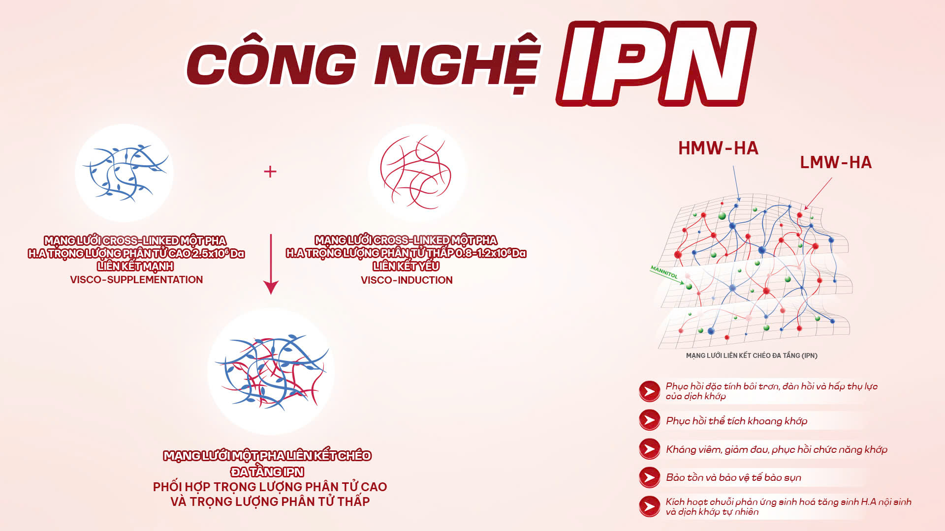 Công nghệ IPN (Interpenetrating Polymer Network)