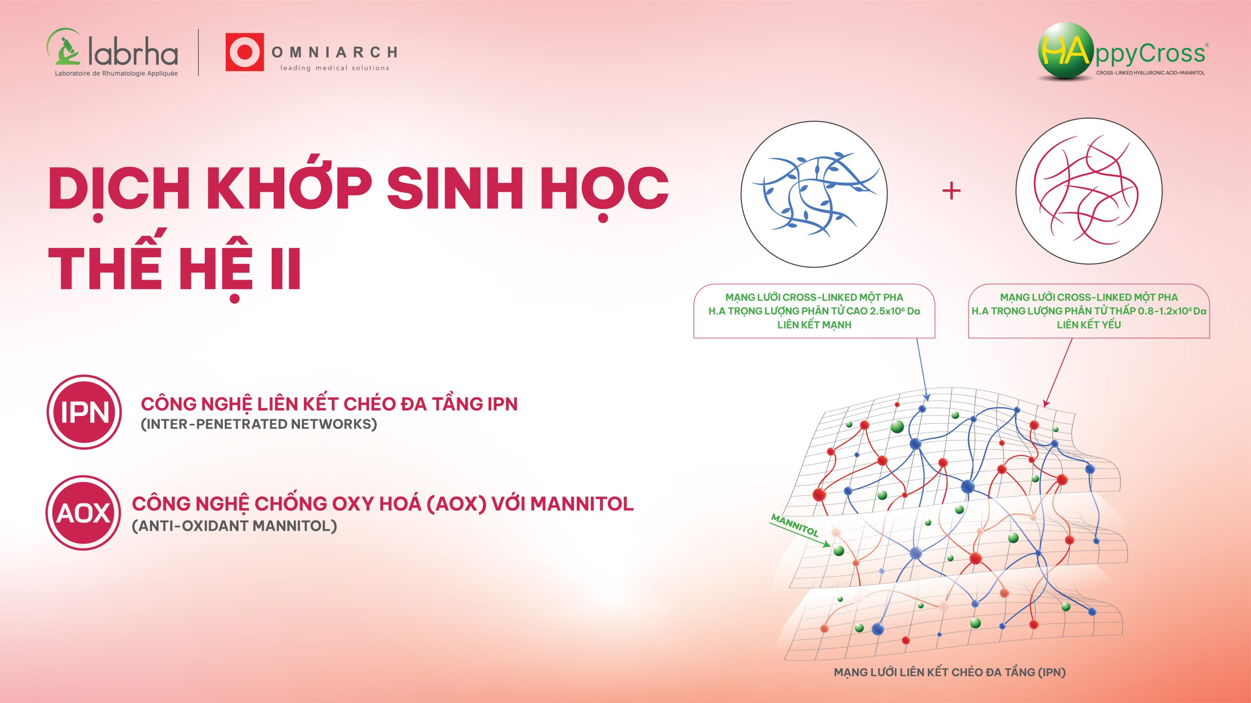 HAppyCross® &#8211; Giải pháp tiên tiến thế hệ mới trong điều trị thoái hóa khớp
