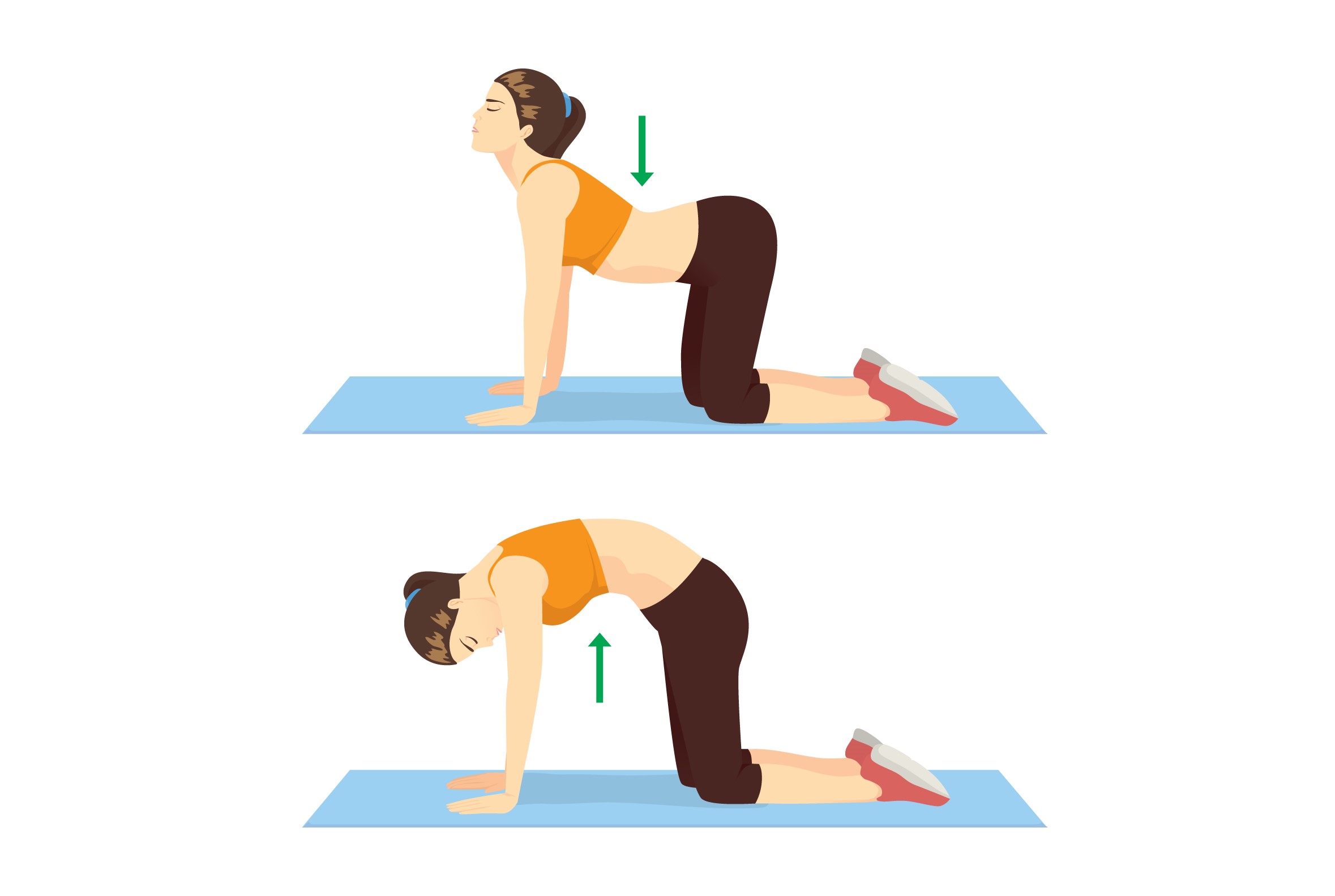 5+ Bài tập vật lý trị liệu thoái hóa cột sống giúp giảm đau, phục hồi vận động tại nhà