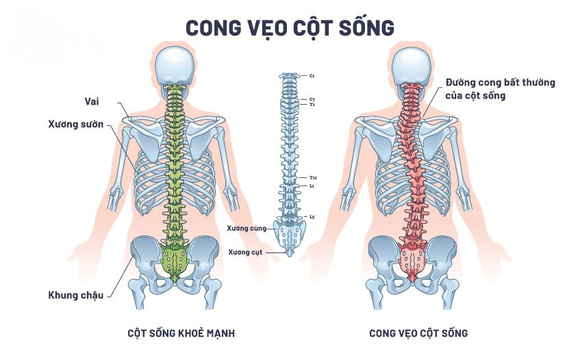 cong-veo-cot-song